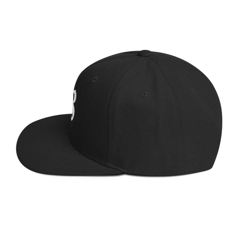 Embroidered Snapback Hat - B - Brunirax Shop